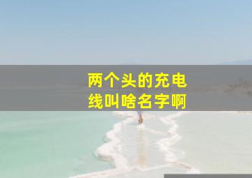 两个头的充电线叫啥名字啊