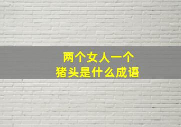 两个女人一个猪头是什么成语