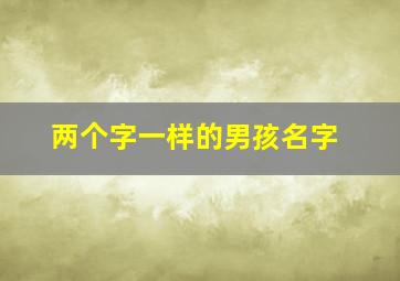 两个字一样的男孩名字