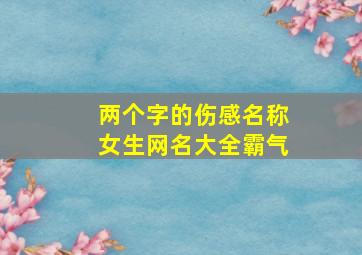 两个字的伤感名称女生网名大全霸气