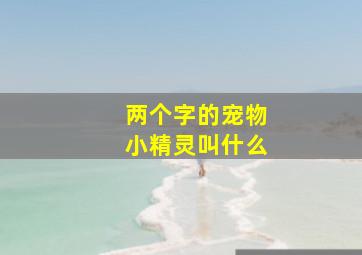 两个字的宠物小精灵叫什么