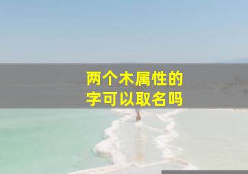 两个木属性的字可以取名吗