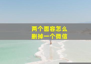 两个面容怎么删掉一个微信