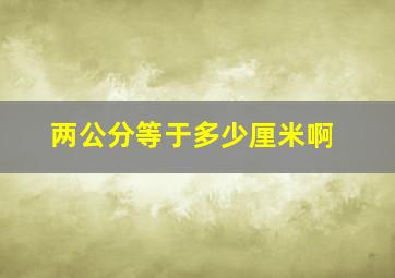 两公分等于多少厘米啊