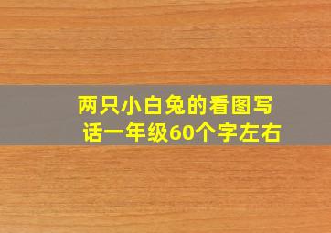 两只小白兔的看图写话一年级60个字左右