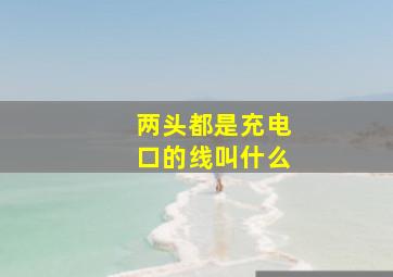 两头都是充电口的线叫什么