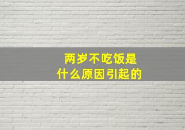 两岁不吃饭是什么原因引起的