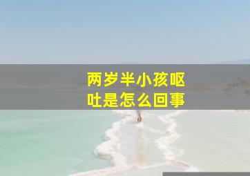 两岁半小孩呕吐是怎么回事