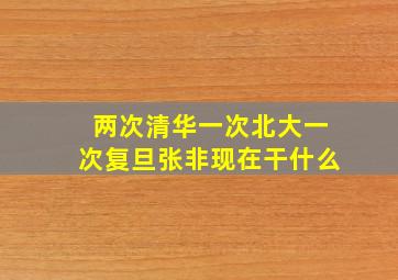 两次清华一次北大一次复旦张非现在干什么