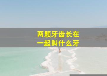 两颗牙齿长在一起叫什么牙