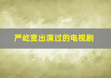 严屹宽出演过的电视剧