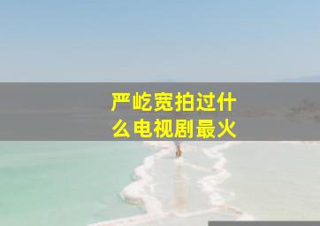 严屹宽拍过什么电视剧最火