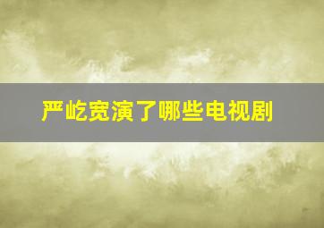 严屹宽演了哪些电视剧