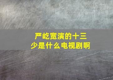 严屹宽演的十三少是什么电视剧啊