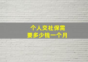 个人交社保需要多少钱一个月