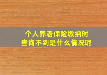 个人养老保险缴纳时查询不到是什么情况呢