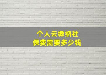 个人去缴纳社保费需要多少钱