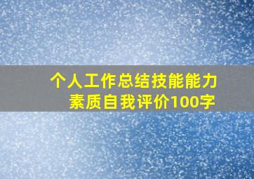 个人工作总结技能能力素质自我评价100字