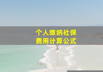 个人缴纳社保费用计算公式