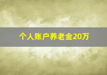 个人账户养老金20万