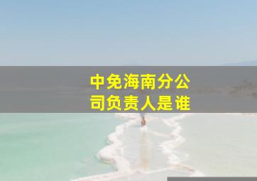 中免海南分公司负责人是谁