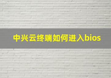 中兴云终端如何进入bios