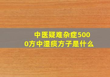 中医疑难杂症5000方中湿痰方子是什么