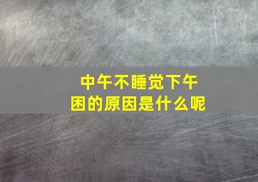 中午不睡觉下午困的原因是什么呢