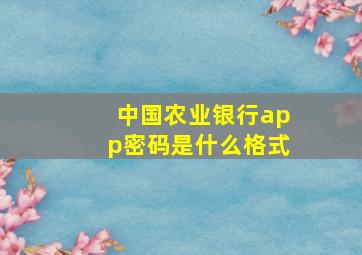 中国农业银行app密码是什么格式