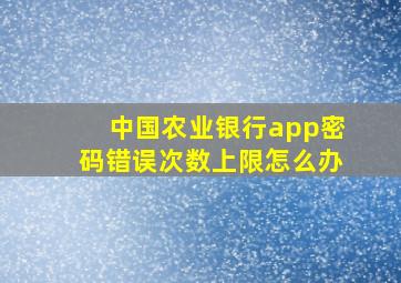 中国农业银行app密码错误次数上限怎么办