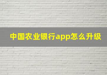 中国农业银行app怎么升级