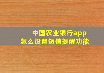 中国农业银行app怎么设置短信提醒功能