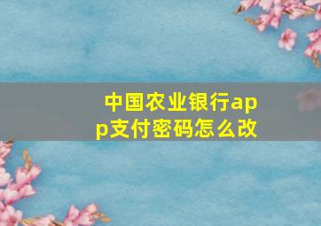 中国农业银行app支付密码怎么改