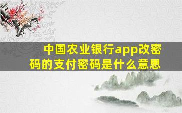 中国农业银行app改密码的支付密码是什么意思