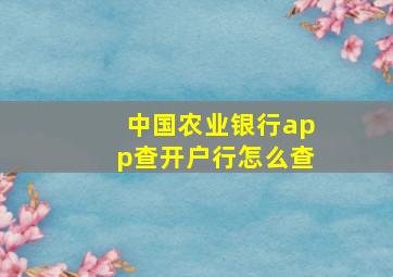 中国农业银行app查开户行怎么查