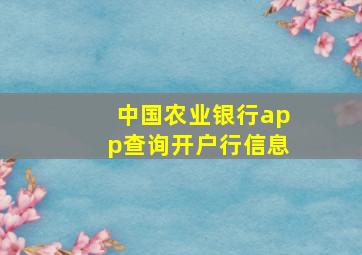 中国农业银行app查询开户行信息