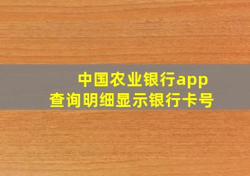 中国农业银行app查询明细显示银行卡号