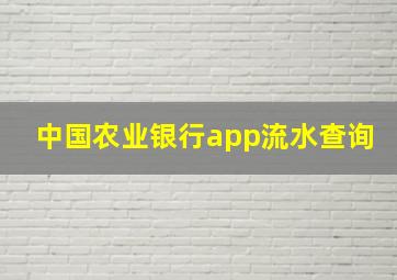 中国农业银行app流水查询