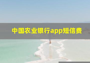 中国农业银行app短信费