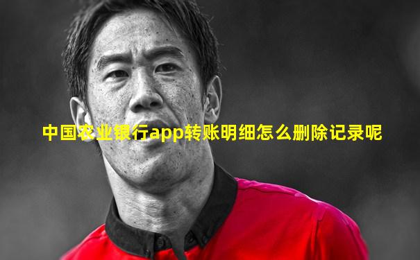 中国农业银行app转账明细怎么删除记录呢