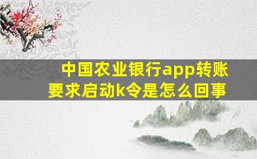 中国农业银行app转账要求启动k令是怎么回事