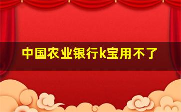 中国农业银行k宝用不了