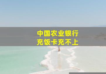 中国农业银行充饭卡充不上