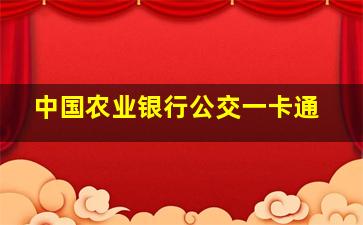 中国农业银行公交一卡通