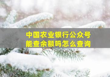 中国农业银行公众号能查余额吗怎么查询