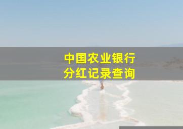 中国农业银行分红记录查询