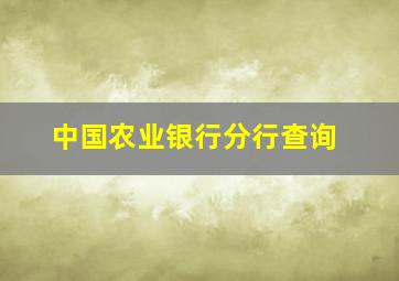 中国农业银行分行查询