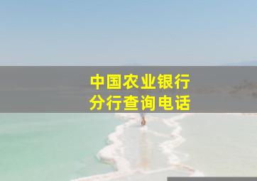 中国农业银行分行查询电话