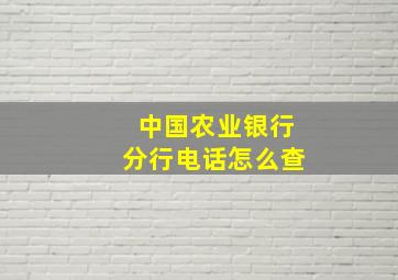 中国农业银行分行电话怎么查