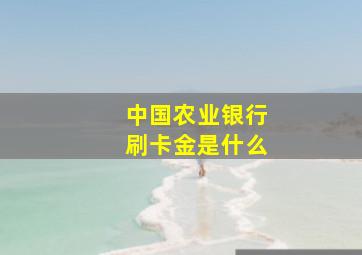 中国农业银行刷卡金是什么